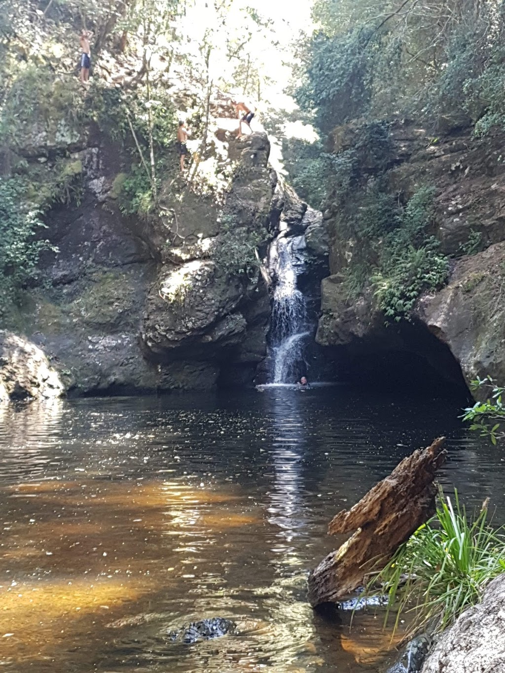 Tapin Tops National Park | park | Dingo Forest NSW 2429, Australia | 0265885555 OR +61 2 6588 5555