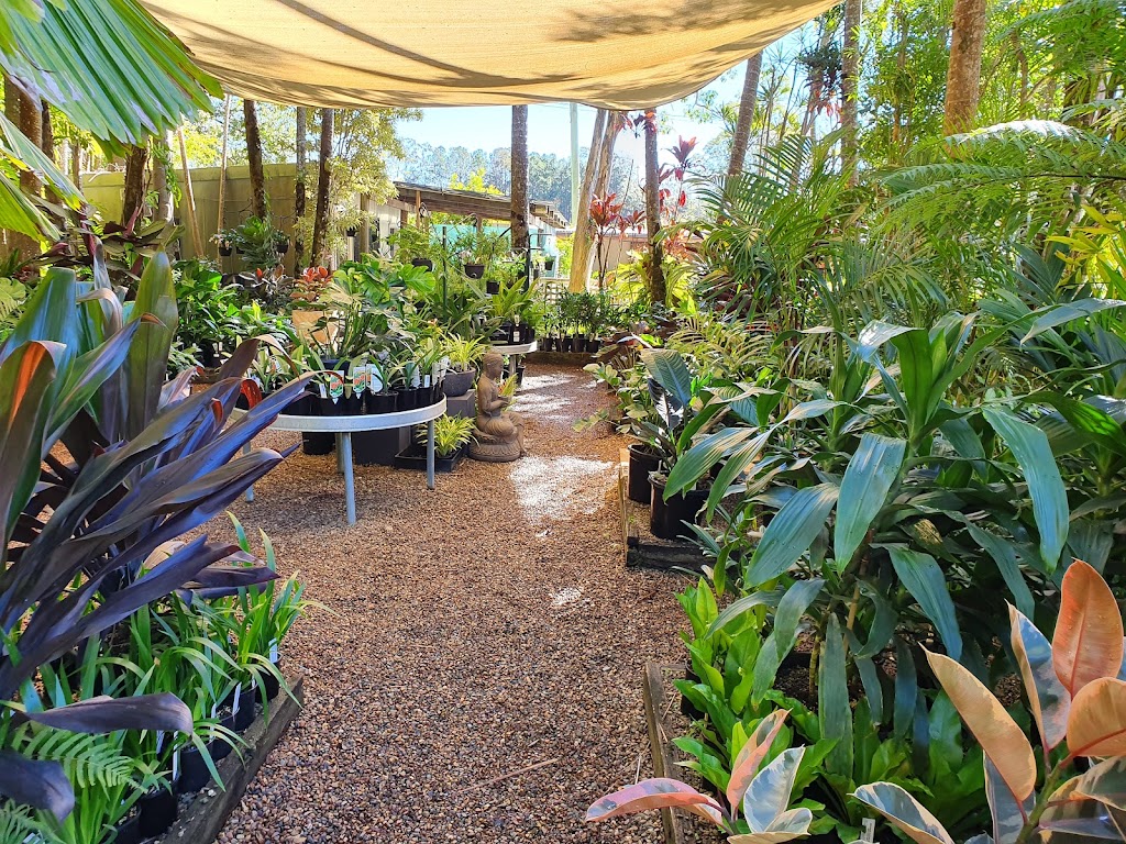 Doonan Valley Garden Centre | 791 Eumundi Noosa Rd, Doonan QLD 4562, Australia | Phone: (07) 5471 1590