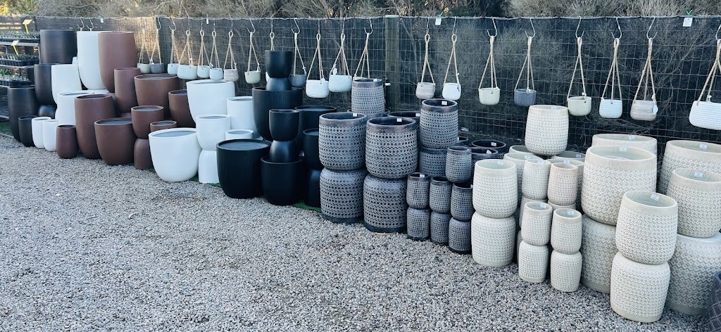 The Plant Guy | 20 Cross Rd, Devon Meadows VIC 3977, Australia | Phone: 0457 081 505