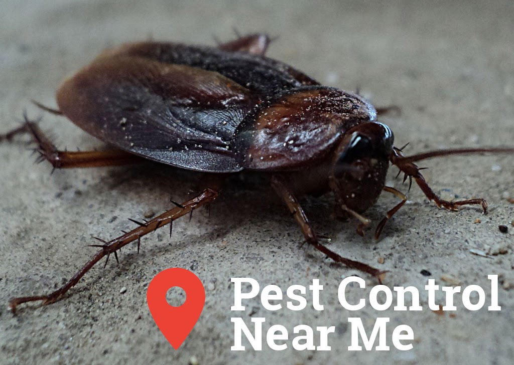 Pest Control Near Me | home goods store | 25 View St, Tynong VIC 3813, Australia | 0413857460 OR +61 413 857 460