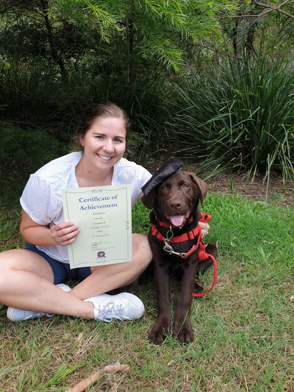 Positive Response Dog Training | 181 Ham Rd, Wishart QLD 4122, Australia | Phone: (07) 3459 2121