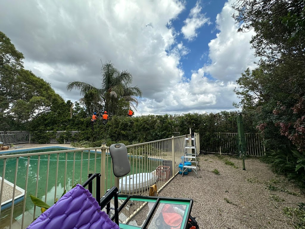 Pro Arborists northern beaches | 42A Tennyson Rd, Cromer NSW 2099, Australia | Phone: 0452 200 715