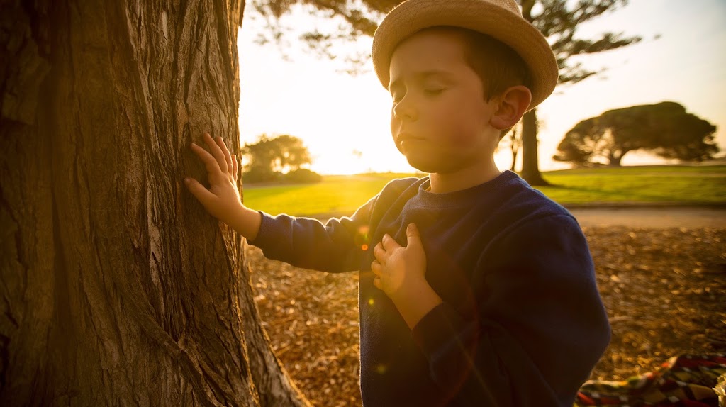 Living Legacy Forest | 125 Tyabb-Tooradin Rd, Somerville VIC 3912, Australia | Phone: 0439 927 736