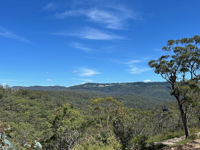 Bulga Amaroo | 27a Mount Tootie Rd, Bilpin NSW 2758, Australia | Phone: 0428 972 911