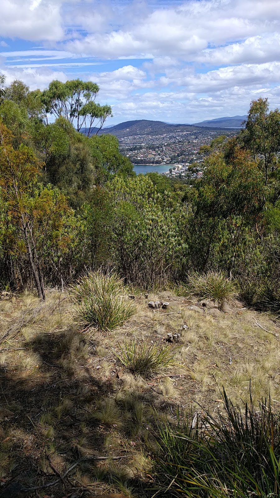 Bonnet Hill Lookout | Bonnet Hill TAS 7053, Australia