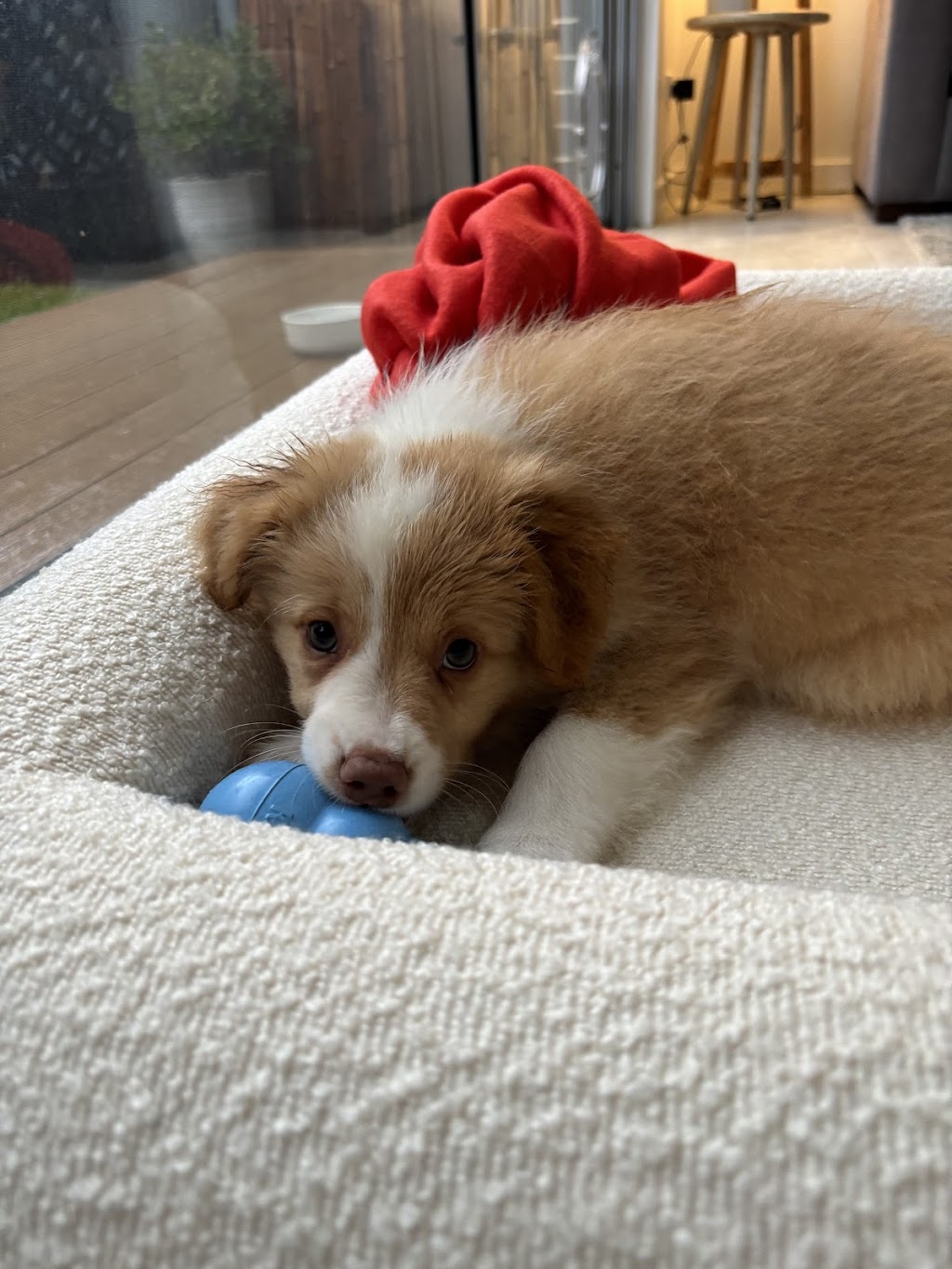 Mona Cottage | 14-18 Mona Rd, Woongarrah NSW 2259, Australia | Phone: 0436 360 834