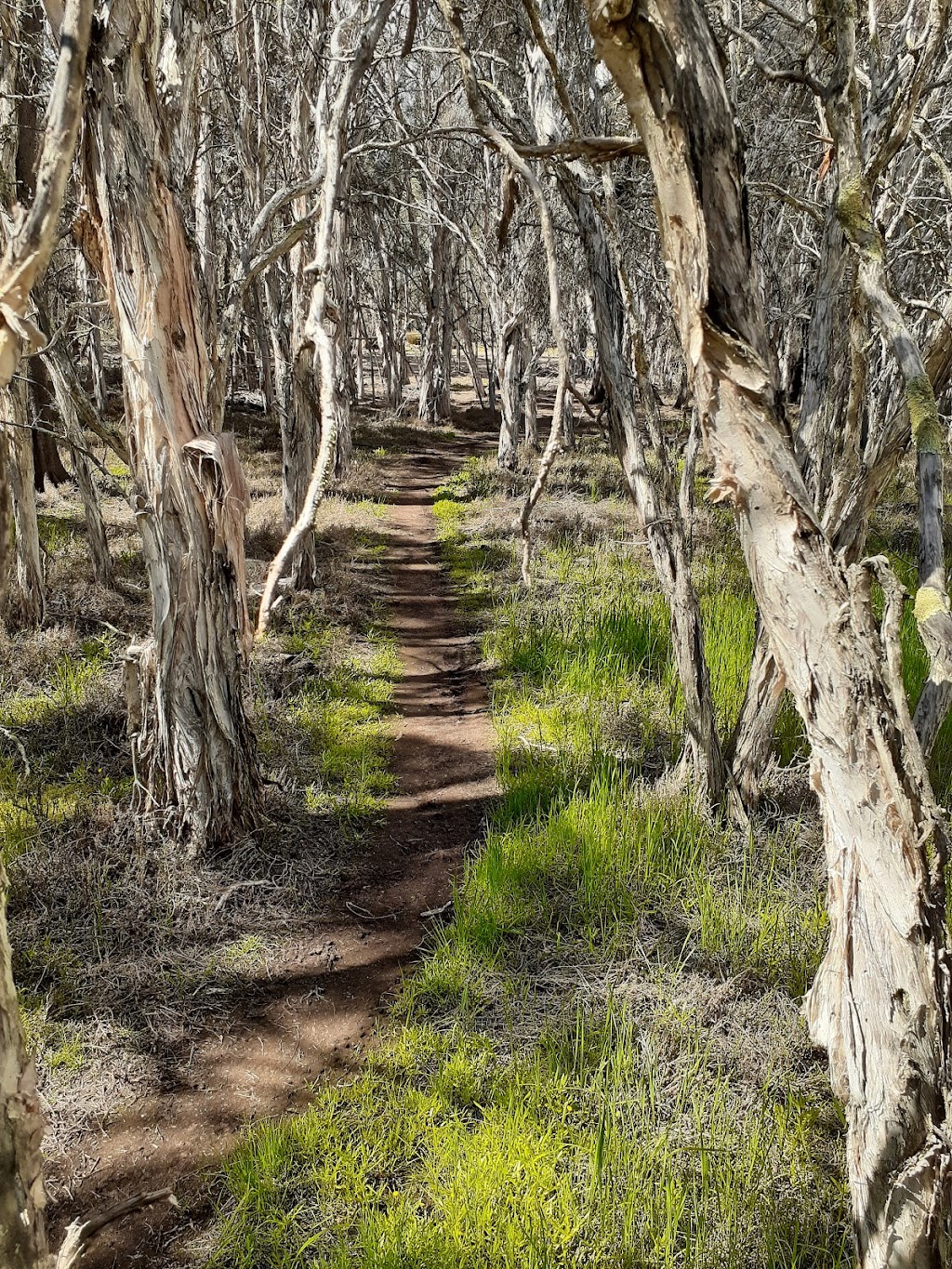 Lakeside Camping | 64 Lake Towerrinning Road, Moodiarrup WA 6393, Australia | Phone: 0419 765 196