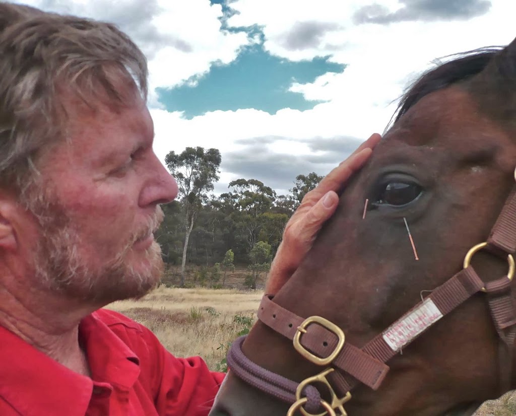 Central Victorian Veterinary Acupuncture | veterinary care | 9 Stevens Ln, Guildford VIC 3451, Australia | 0408509405 OR +61 408 509 405