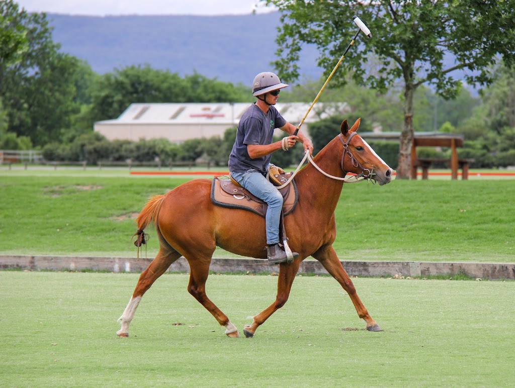 SILVERMER PARK | 4987 Taralga Rd, Taralga NSW 2580, Australia | Phone: 0459 666 559