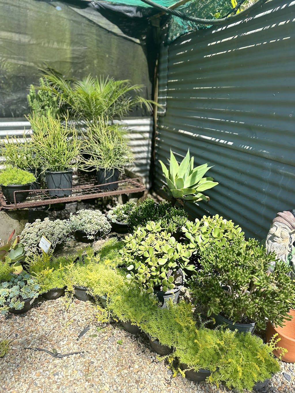 Onshore Nursery | 369 Hinterland Wy, Knockrow NSW 2479, Australia | Phone: 0401 224 632