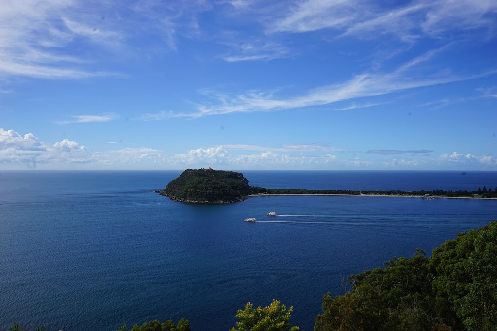 Sydney Harbour Safaris Boat Tours | 8 Lowing Cl, Forestville NSW 2087, Australia | Phone: 0490 701 016