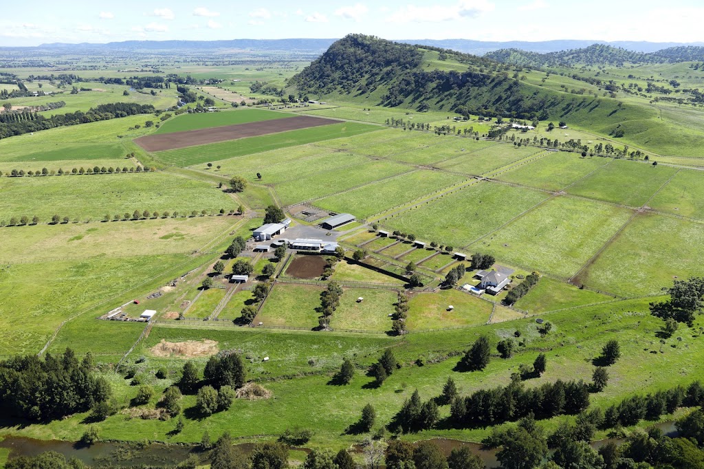Alanbridge | VWFF+M2, Segenhoe NSW 2337, Australia | Phone: (02) 6543 8333