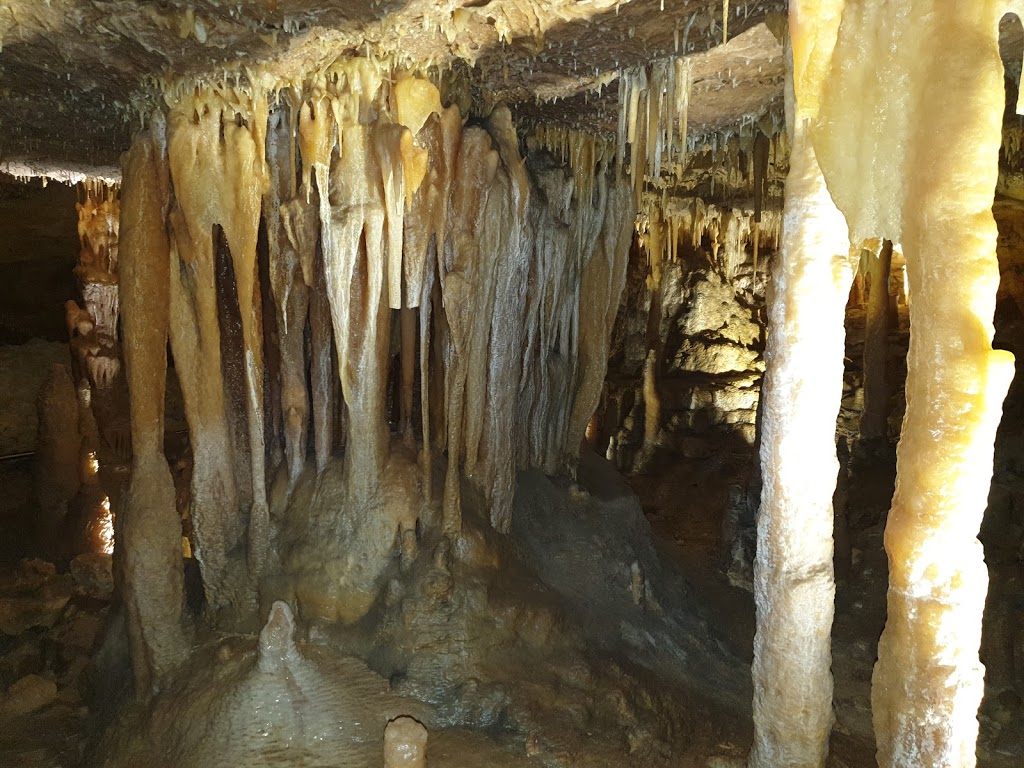 Naracoorte Caves National Park | park | Naracoorte SA 5271, Australia | 0887622340 OR +61 8 8762 2340