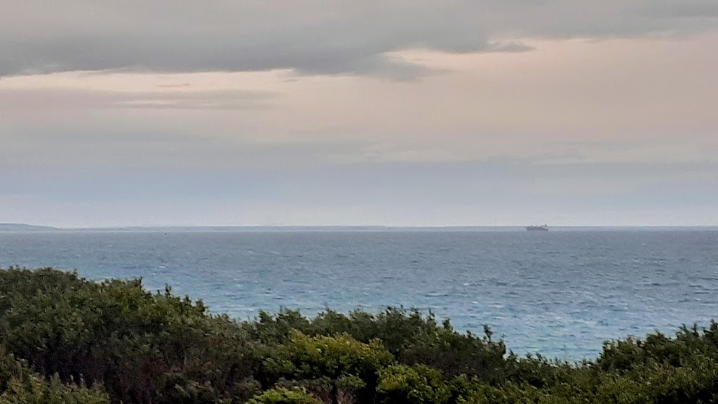 Point Danger Gannet Colony | Portland VIC 3305, Australia | Phone: 1800 035 567