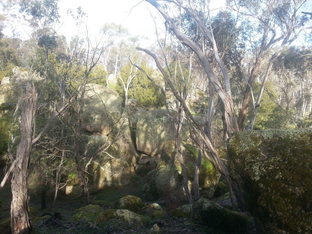 Dergholm State Park | Victoria 3312, Australia