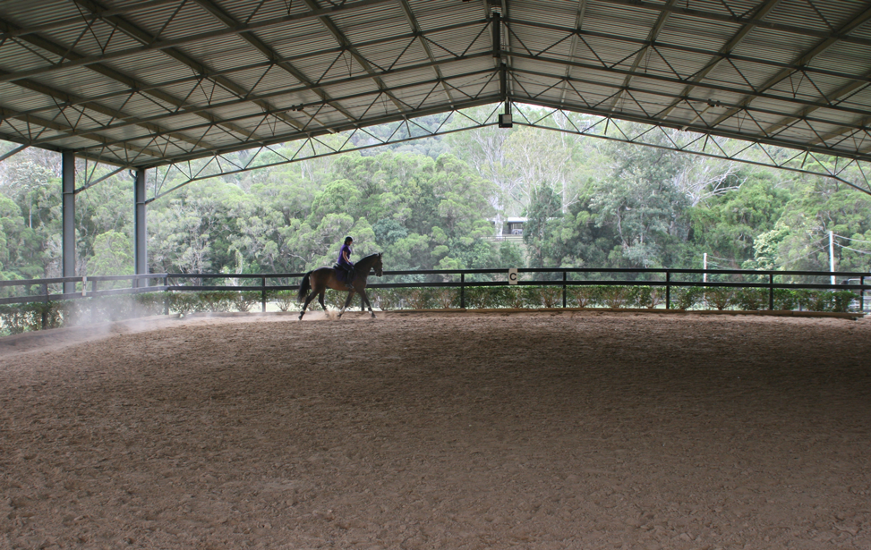 Linda Treur Horse Riding Centre | 61 Shaws Pocket Rd, Luscombe QLD 4207, Australia | Phone: 0412 810 582