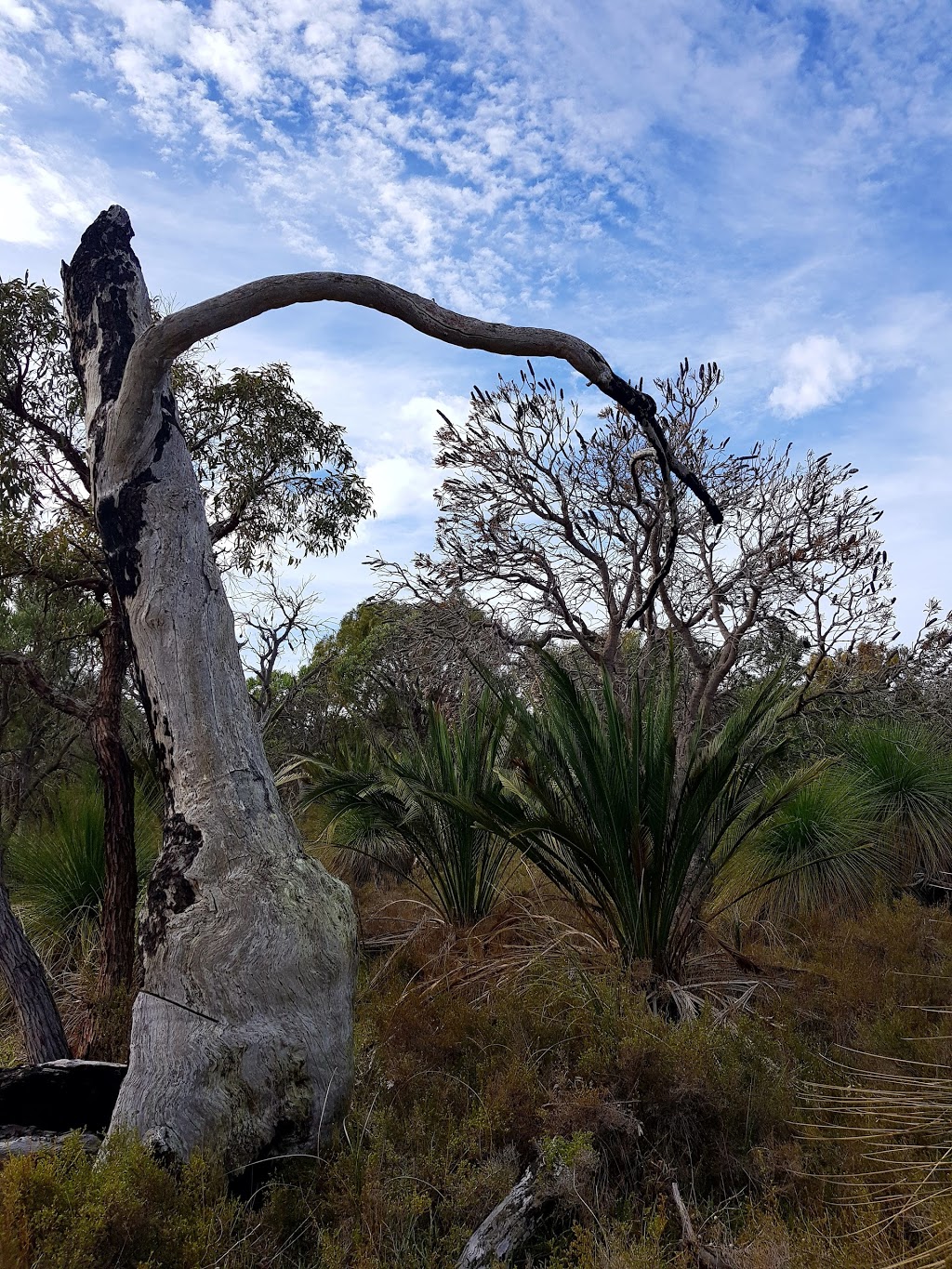 Neerabup National Park | Neerabup Rd, Neerabup WA 6031, Australia | Phone: (08) 9303 7700