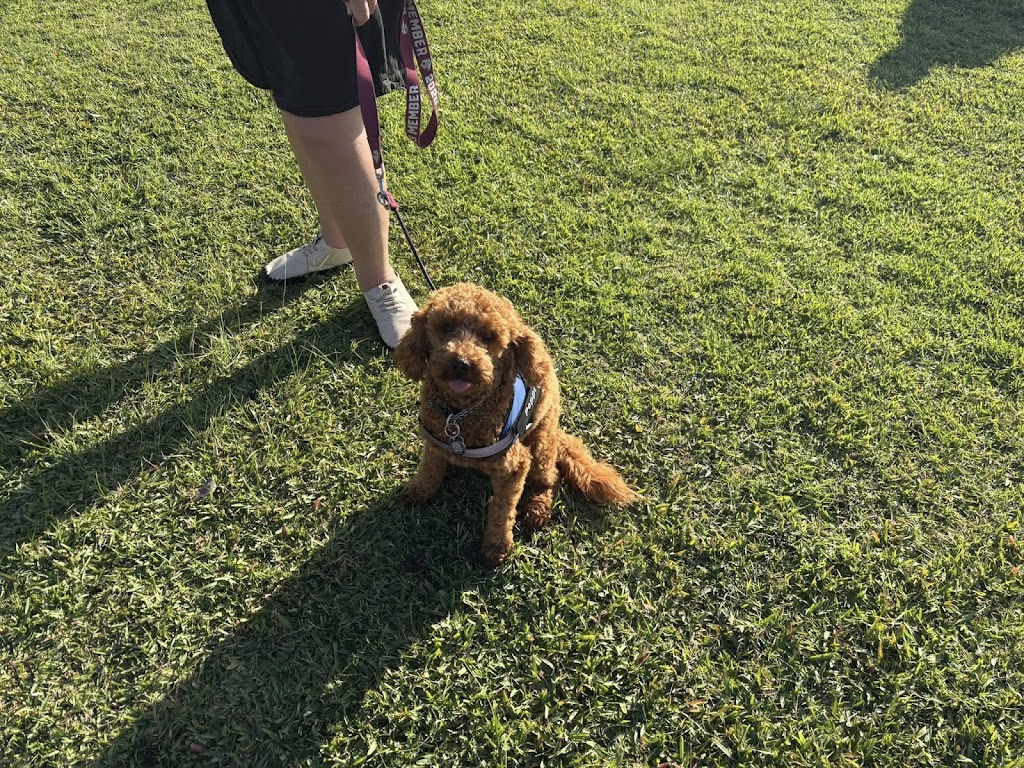 Debs Dog Training | Failford NSW 2430, Australia | Phone: 0494 551 882
