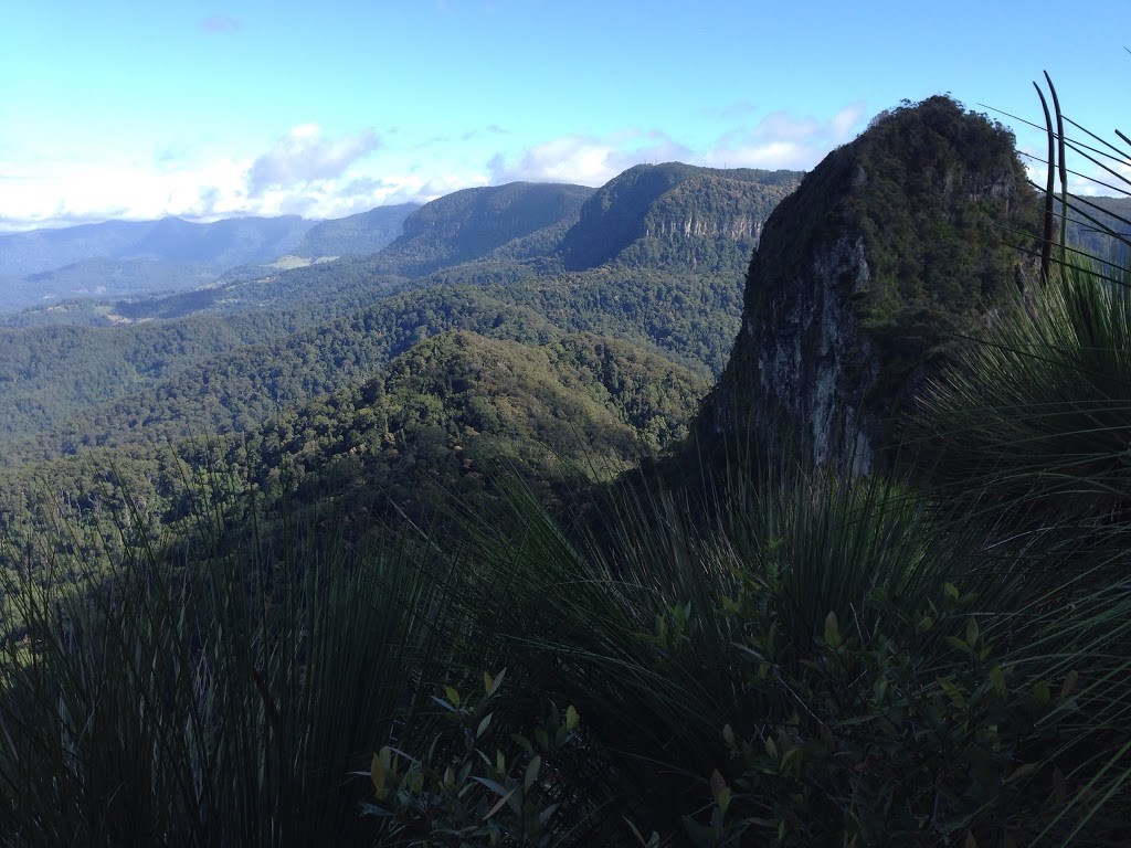 Mount Cougal | park | Currumbin Creek Rd, Currumbin Valley QLD 4223, Australia | 137468 OR +61 137468