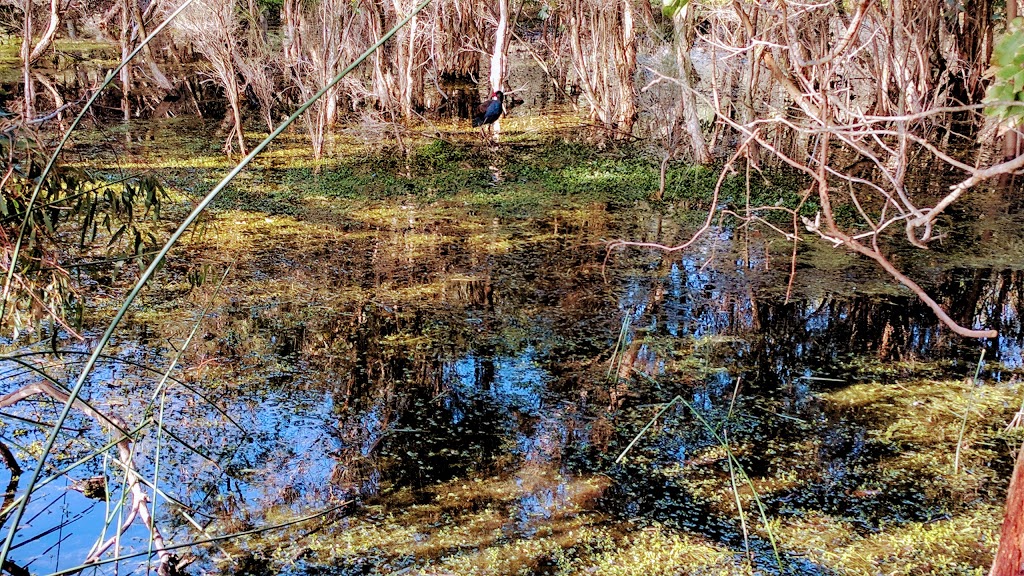 Herdsman Lake Nature Reserve | park | 171 Jon Sanders Dr, Herdsman WA 6017, Australia