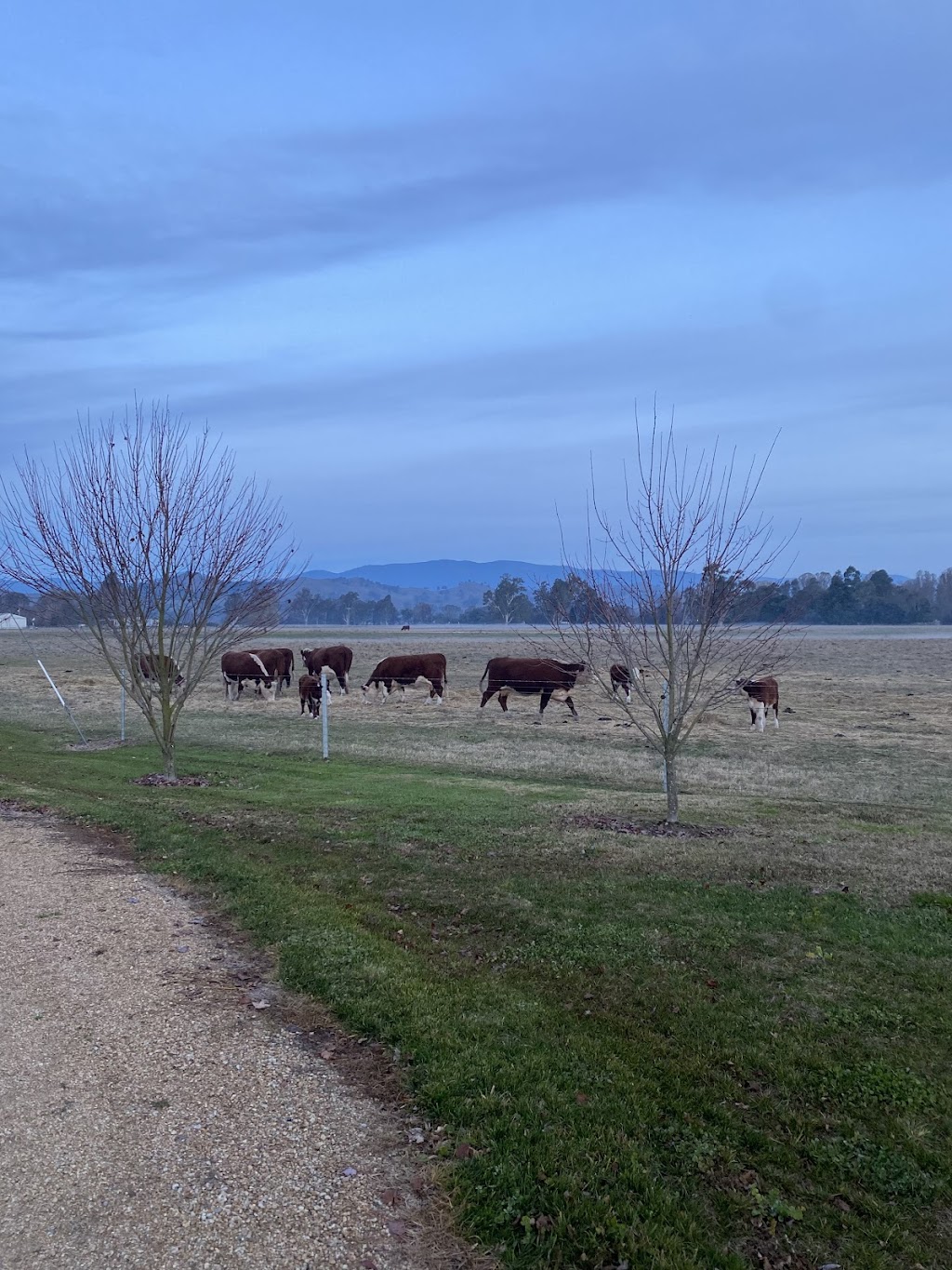 Two Rivers Lodge | Moloneys Rd, Acheron VIC 3714, Australia | Phone: 0418 523 577