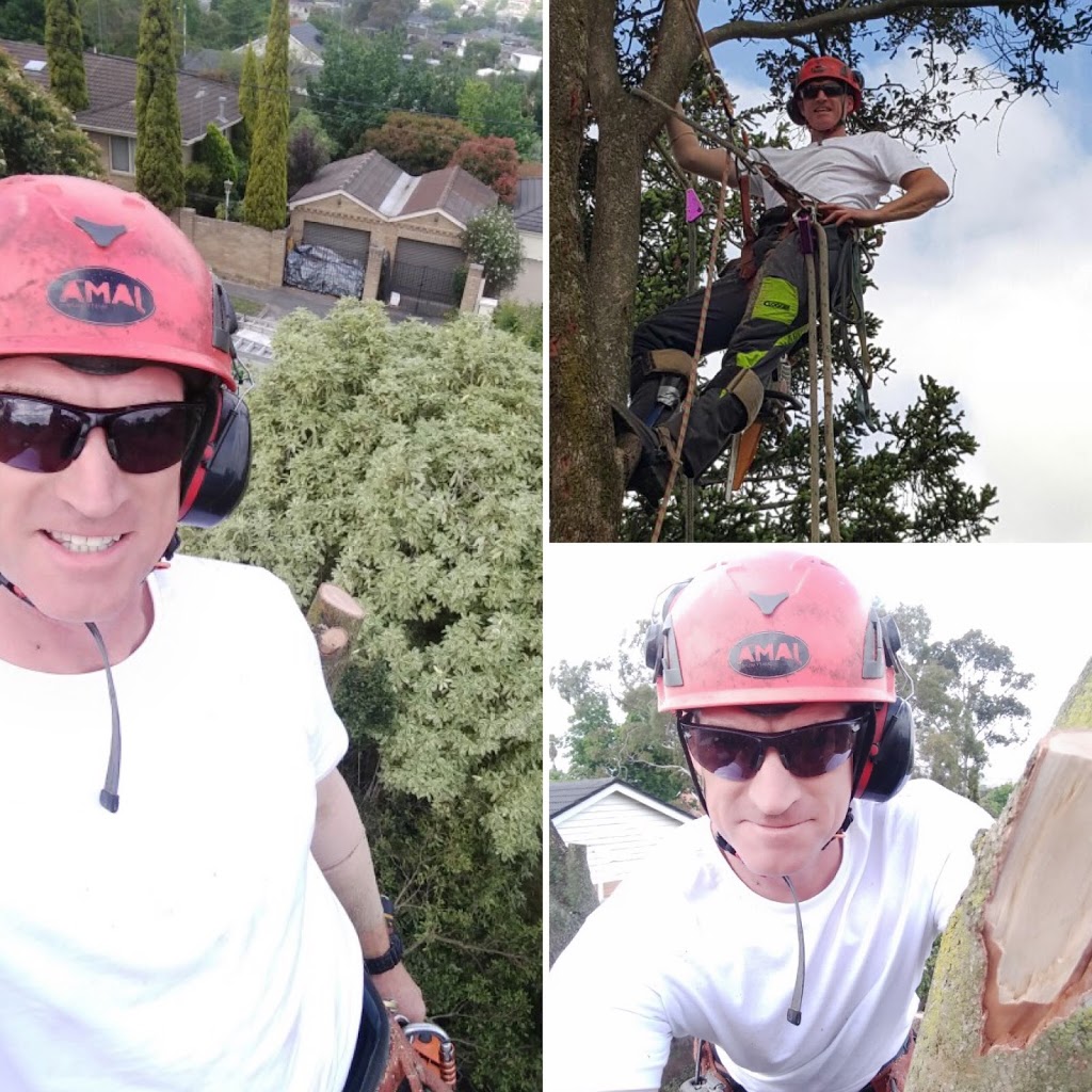 Oz Tree Services | 9 Hillingdon Dr, Diamond Creek VIC 3089, Australia | Phone: 0410 343 315