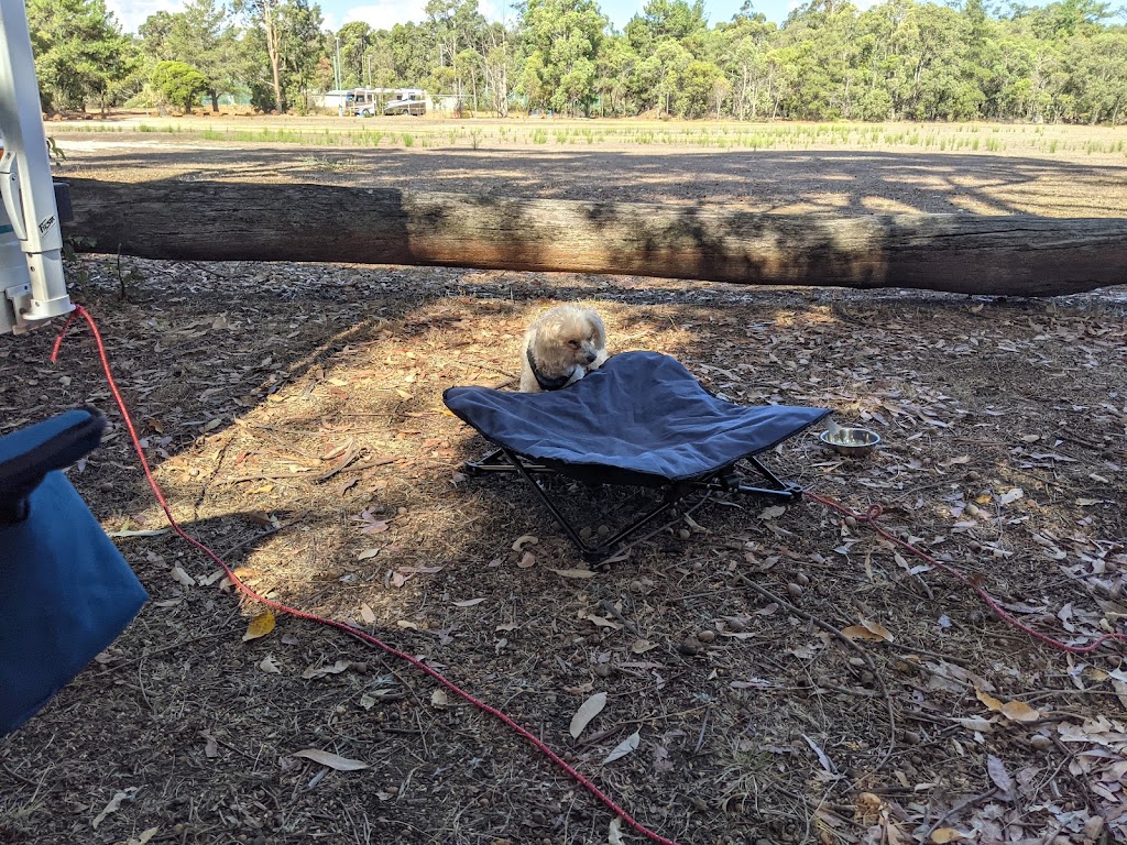 Bushlands caravan park | 97 Collier Rd, Pink Lake WA 6450, Australia | Phone: (08) 9071 1346