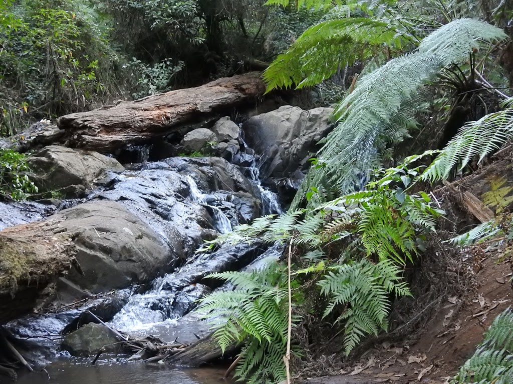 Olinda Falls | Falls Track, Olinda VIC 3788, Australia | Phone: 13 19 63