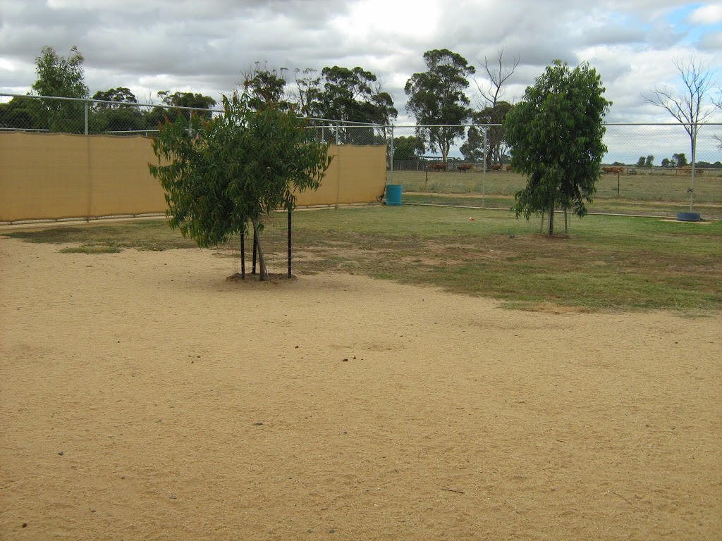 Echuca K9 Kondos Boarding Kennel | 139 Echuca West School Rd, Echuca VIC 3564, Australia | Phone: (03) 5480 7273