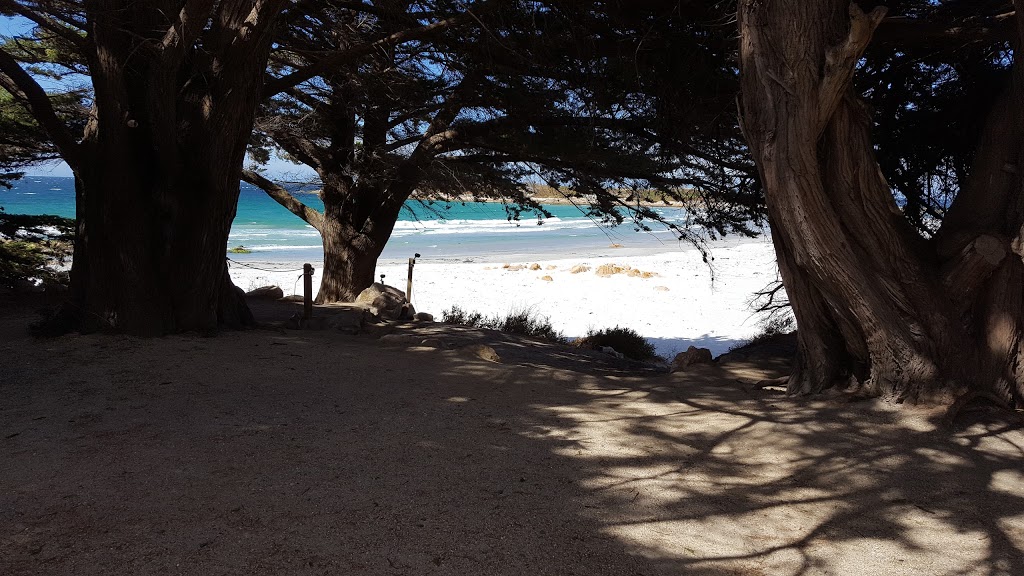 Diamond Island Nature Reserve | park | Tasmania, Australia