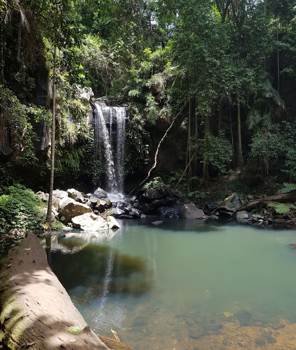 Joalah Section | park | 36 Tamborine Mountain Rd, Tamborine Mountain QLD 4272, Australia