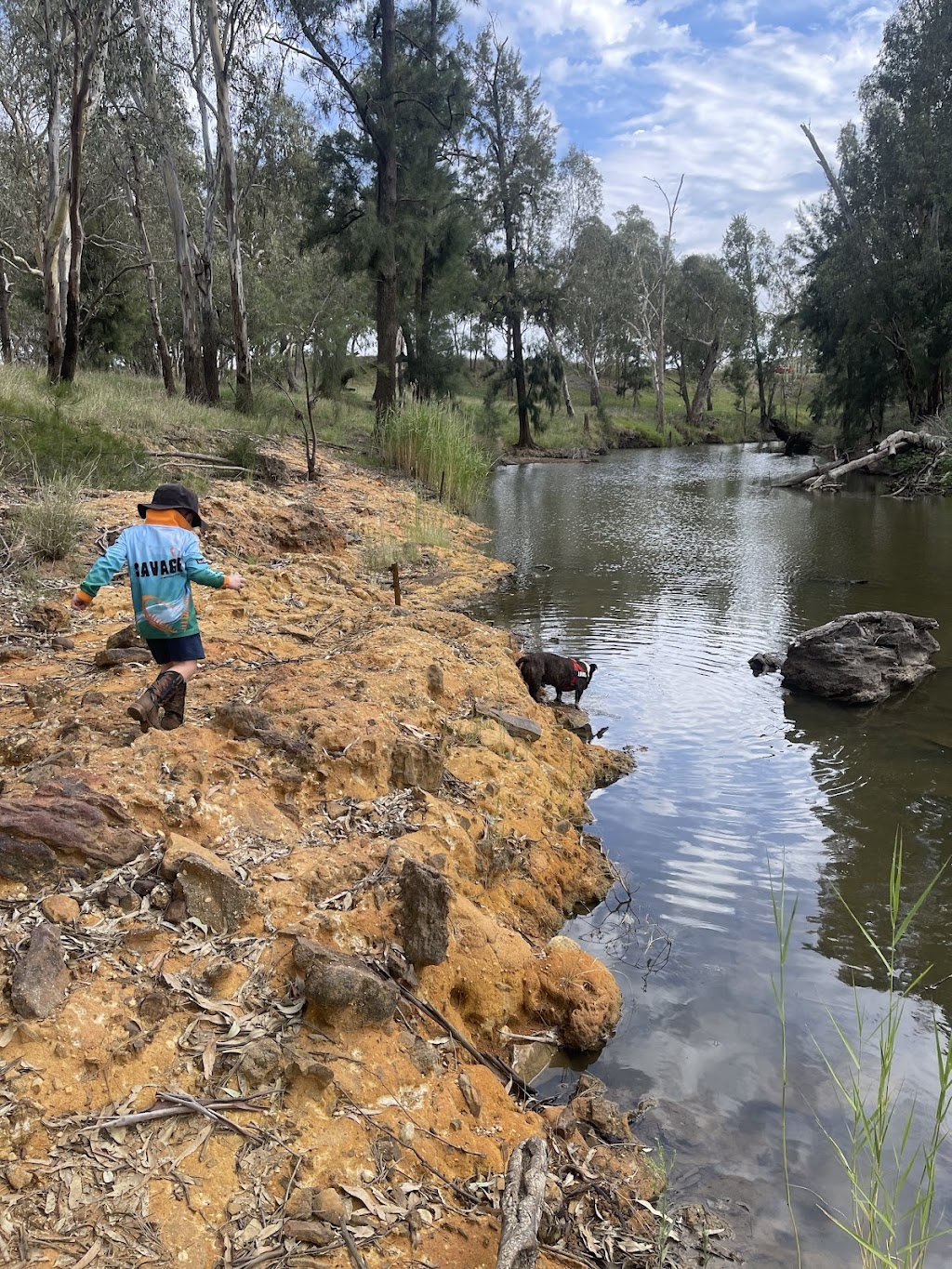 Cadagi Farm | 50R Old Mendooran Rd, Dubbo NSW 2830, Australia | Phone: 0481 542 069