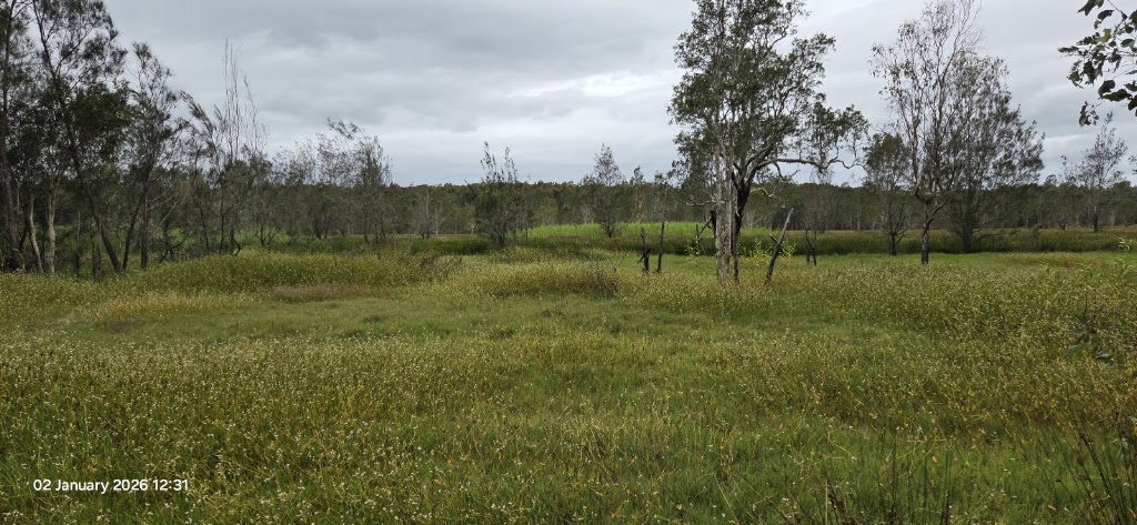 Conservation Camping at the Creek | Shark Creek Rd, Tyndale NSW 2463, Australia | Phone: 0452 199 680