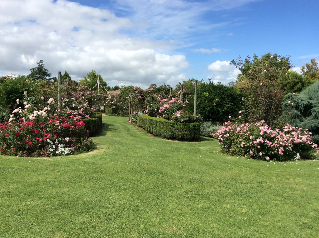 Brindabella Country Gardens Roses | 17 Quinlan Rd, Blue Mountain Heights QLD 4350, Australia | Phone: (07) 4696 8440