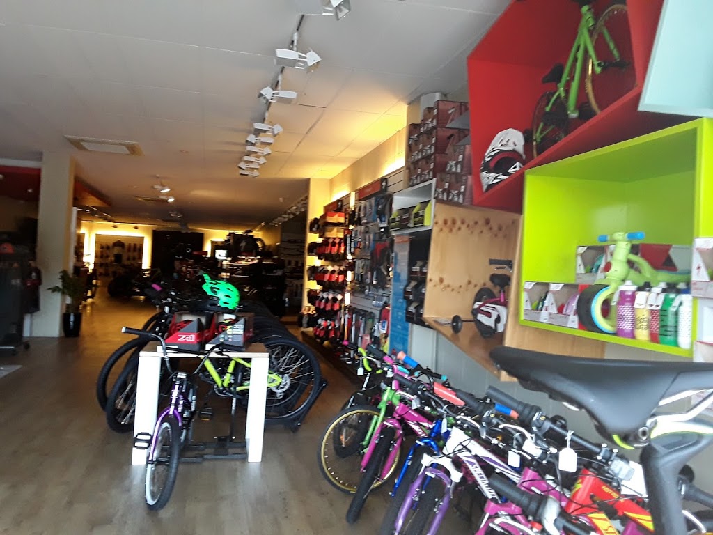 Pump N Pedals | bicycle store | 113-117 Sheridan St, Cairns City QLD 4870, Australia | 0740516853 OR +61 7 4051 6853