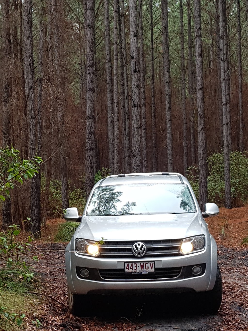 Cordalba National Park | park | Duingal QLD 4671, Australia