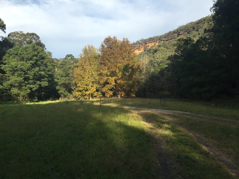 Paradise Valley | 250 Gorricks Run, Upper MacDonald NSW 2775, Australia | Phone: 0499 355 117