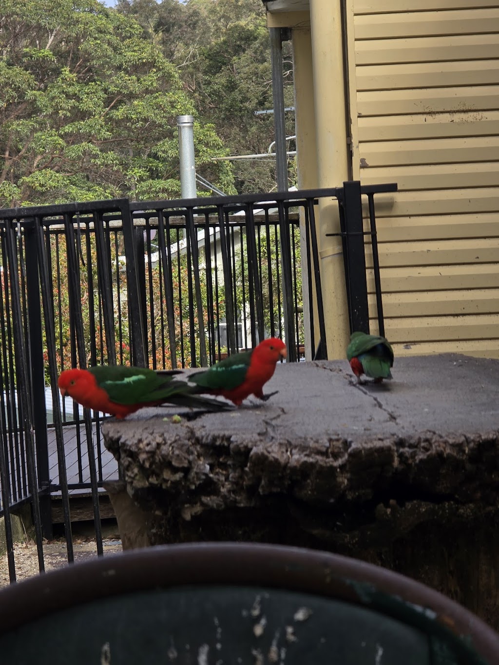 J.M. JONES tearooms | 1 Fernlands Rd, Mount Nebo QLD 4520, Australia | Phone: (07) 3289 8126