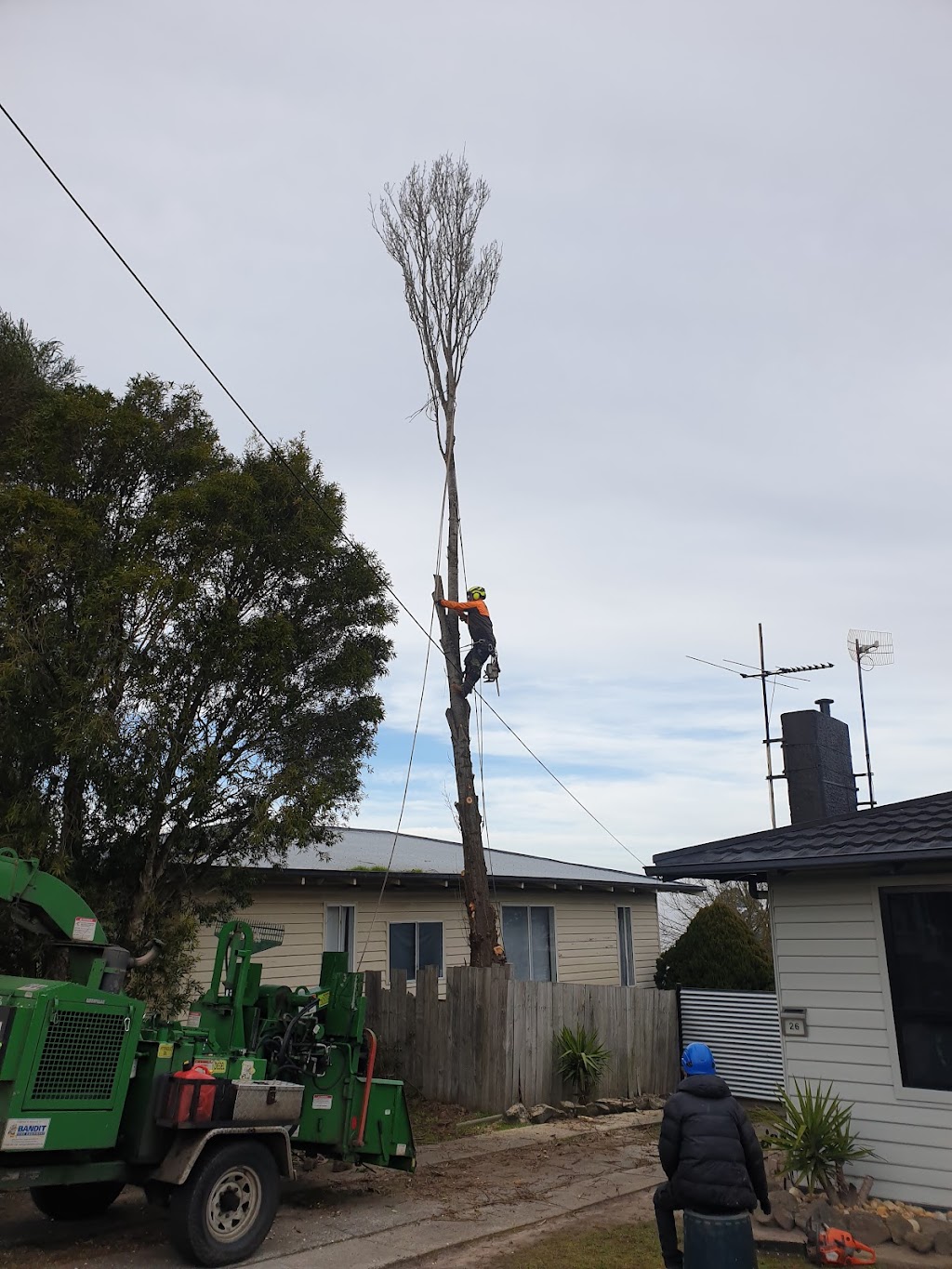 Robs Tree Service | 71 Boulton Cres, Tyers VIC 3844, Australia | Phone: 0419 519 454
