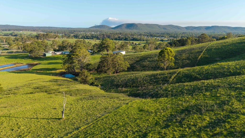 Mill Rise Estate | 231 Glen William Rd, Clarence Town NSW 2321, Australia | Phone: 0428 950 838