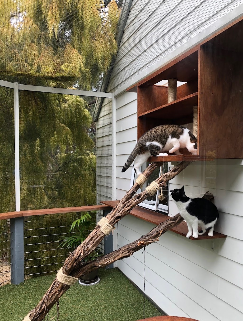 Catyards for Backyards | pet store | 7 Ruby Cove, Mornington VIC 3931, Australia | 0401804002 OR +61 401 804 002