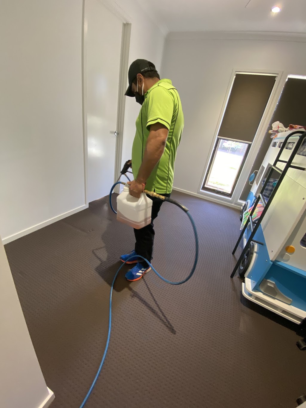 Amazing Carpet Cleaning & Pest Control Services | Rapanea St, Moggill QLD 4070, Australia | Phone: 0477 657 695