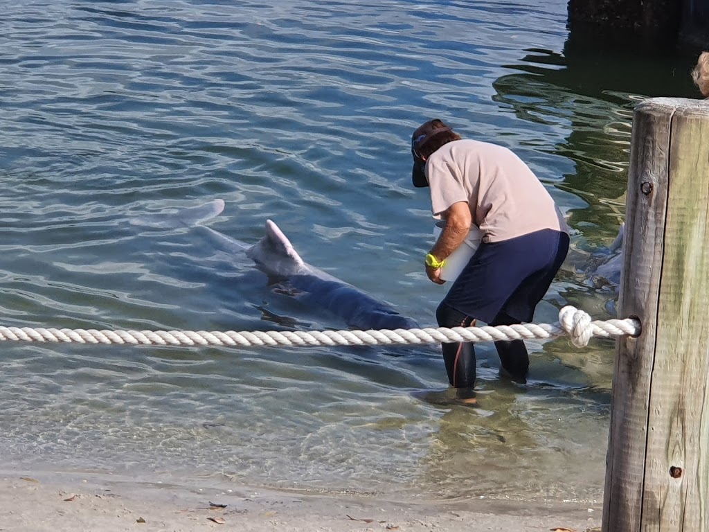 Tin Can Bay Marina | Emperor St & Oyster Parade, Oyster Parade, Tin Can Bay QLD 4580, Australia | Phone: (07) 5488 1800