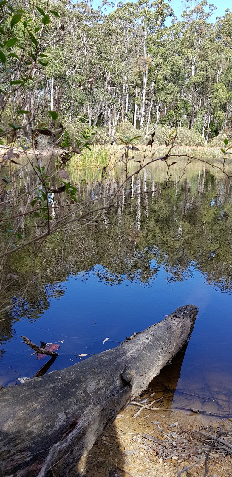 Blackwood Mineral Springs Holiday Park | rv park | 41 Golden Point Rd, Blackwood VIC 3458, Australia | 0353686539 OR +61 3 5368 6539