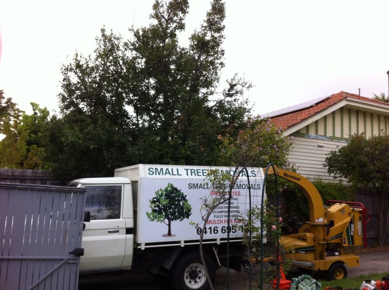 Small tree removals | 98 Oakbank Blvd, Whittlesea VIC 3757, Australia | Phone: 0416 695 138