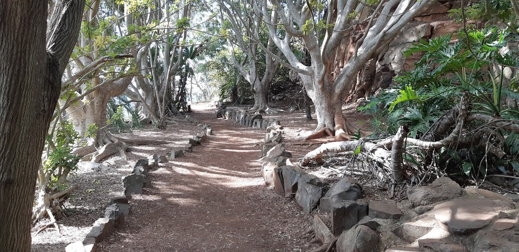 Bill Goulds Lookout | Tobruk Memorial Dr, Rangeville QLD 4350, Australia | Phone: 13 18 72