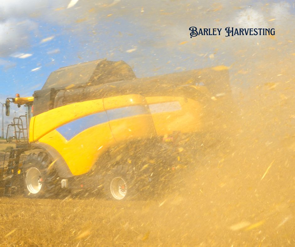 J B Contract Harvesting | 4923 Carrathool Rd, Carrathool NSW 2711, Australia | Phone: 0408 490 177