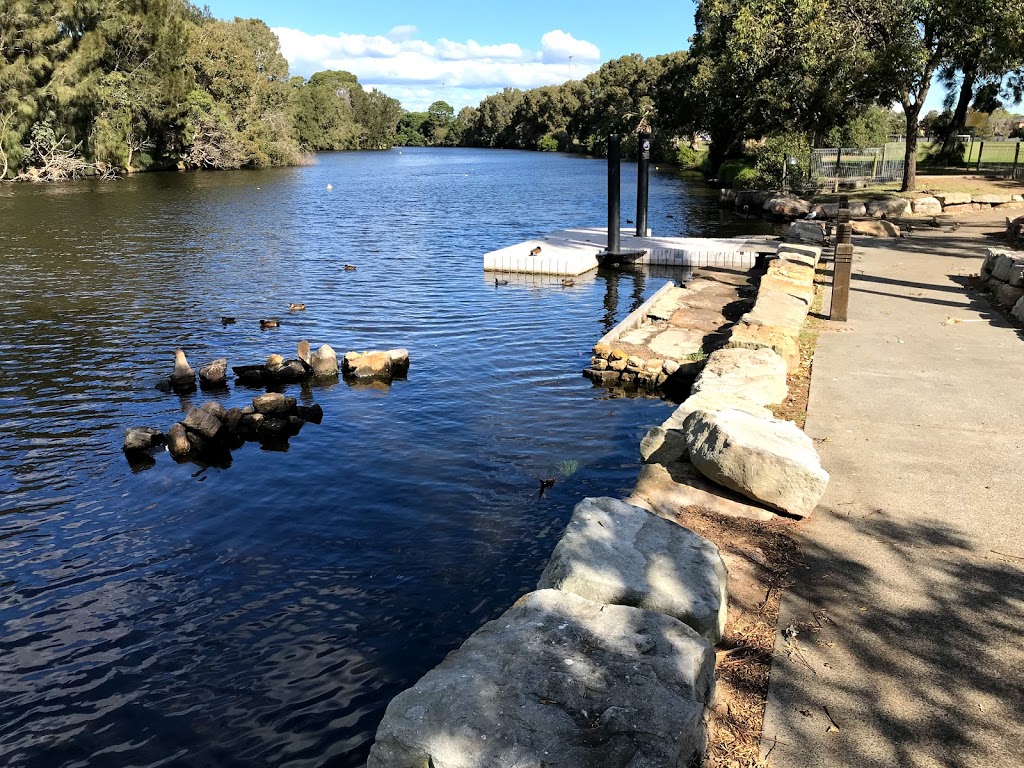 Rock Pigeon Feeding Area. Ducks and Cockatoos. | zoo | 67 Barton St, Monterey NSW 2217, Australia