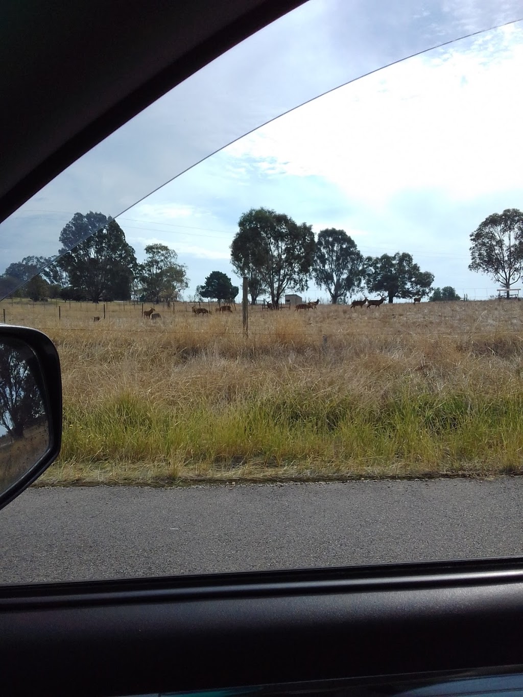Kangaroo point | Unnamed Road, Bonegilla VIC 3691, Australia
