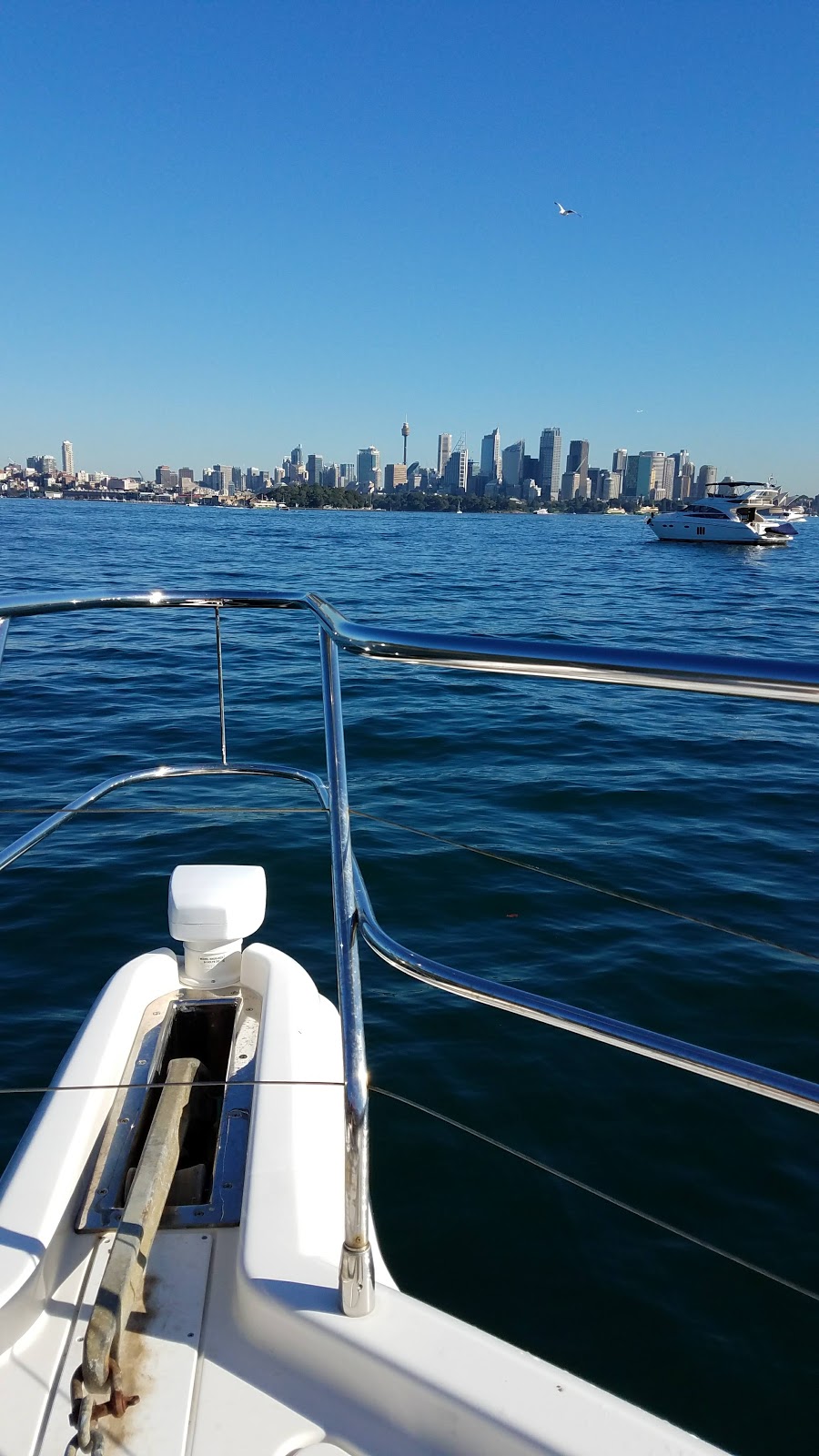 Smart Cruiser | Sydney Boat Hire | 2/8 Clement St, Rushcutters Bay NSW 2011, Australia | Phone: 0452 664 646